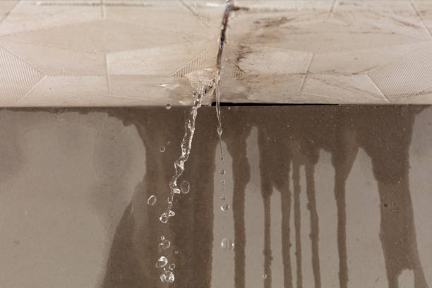 Professional Sewage Cleanup technician working in Cliffside Park, NJ